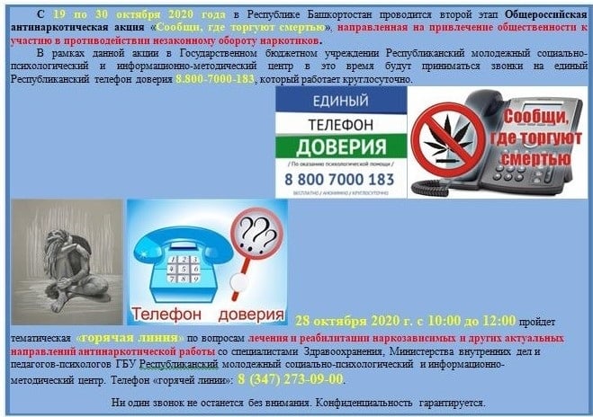 Телефон горячей линии 